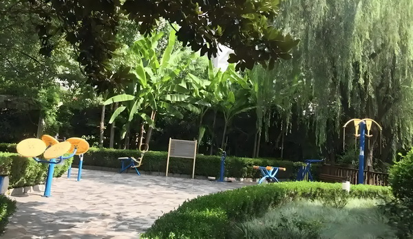 人才引进入户深圳需要那些条件_不会唱歌却开演唱会，58岁的郑伊健消费情怀？ 不会唱歌候做主他在的时持人